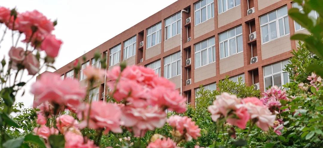 1591080529817048207.jpg 1.jpg