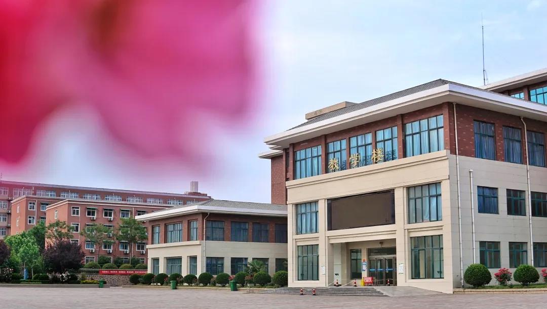 1591080595038055200.jpg 2.jpg