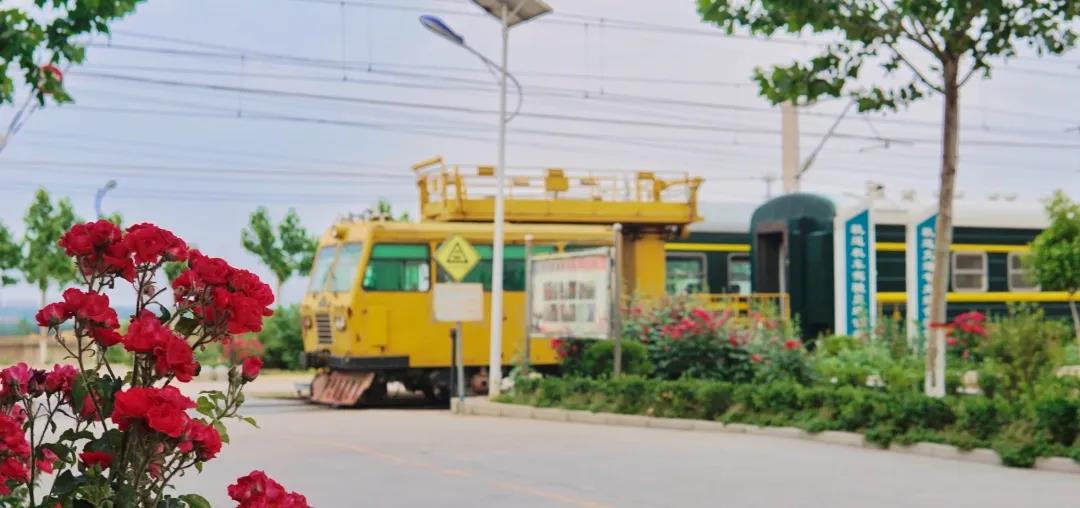 1591080704916048465.jpg 5.jpg