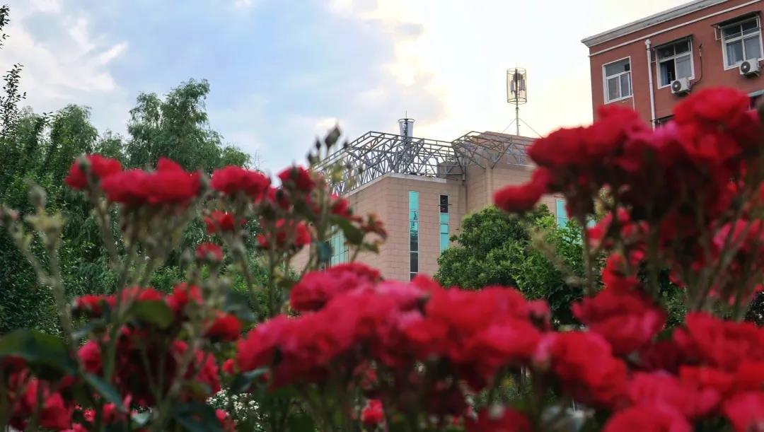 1591080730729095907.jpg 6.jpg