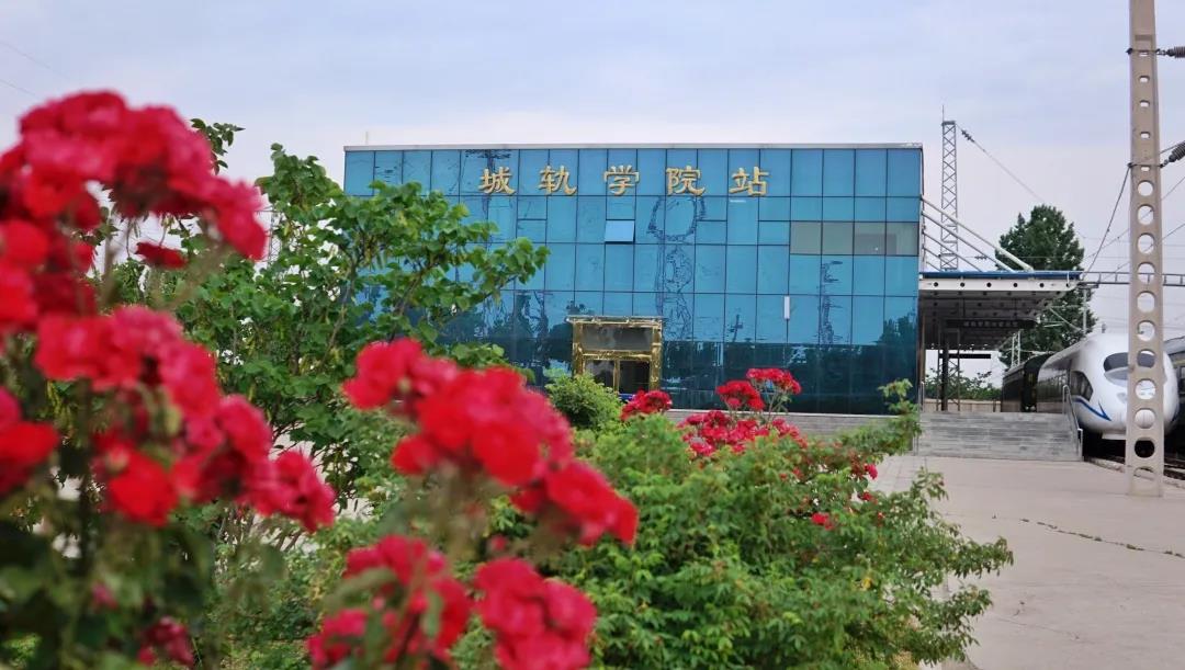 1591080793789086494.jpg 8.jpg