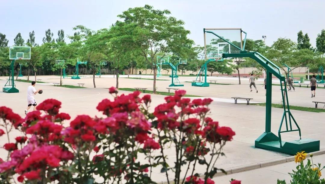 1591080842567079444.jpg 9.jpg