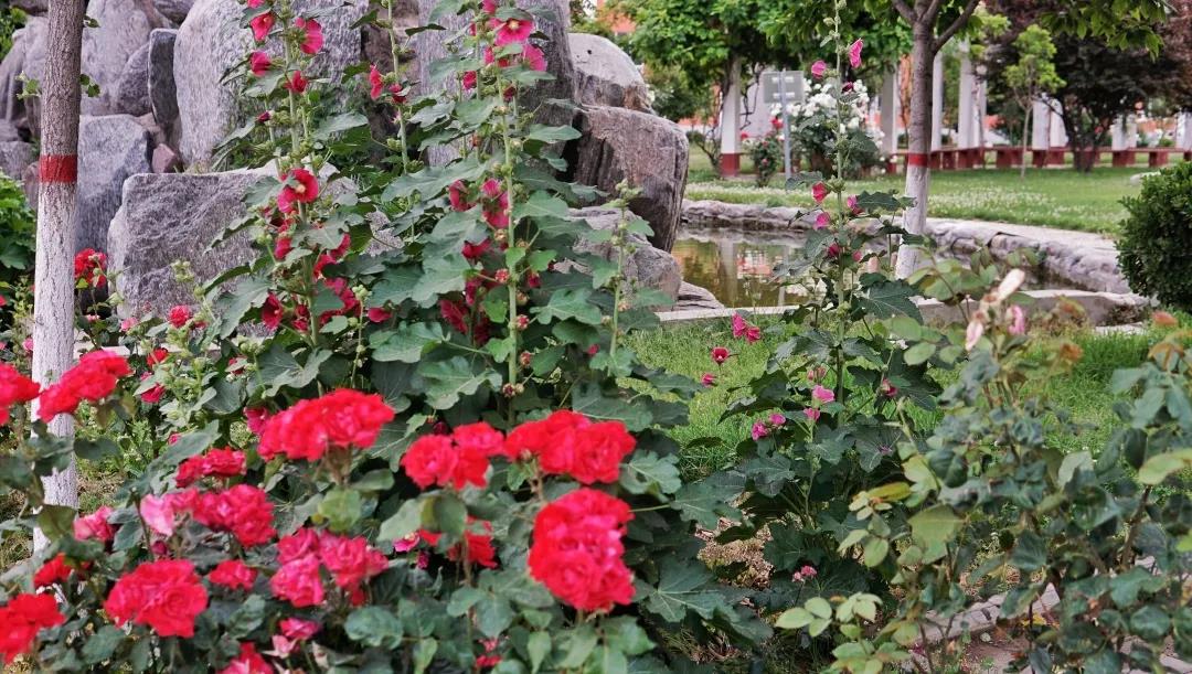 1591080867035098840.jpg 10.jpg