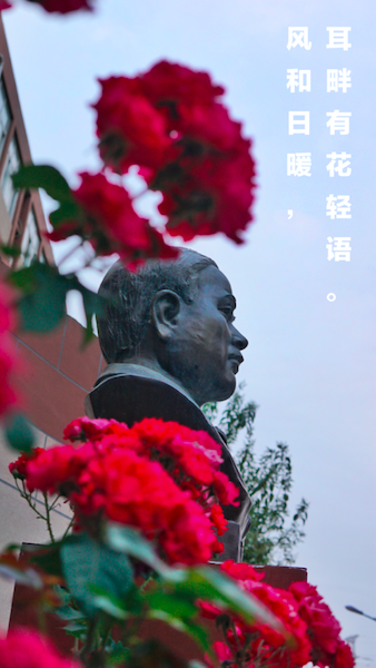 1591080889674078310.png 11.png