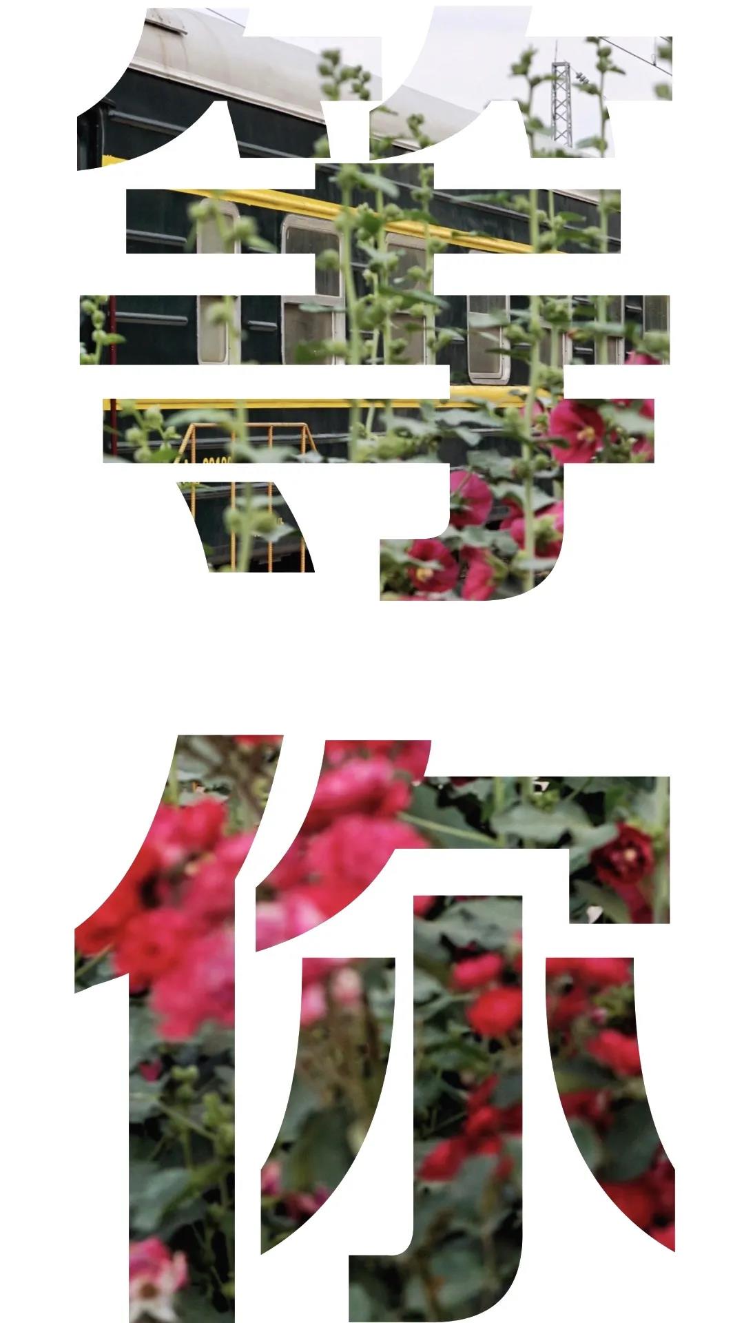 1591080909610081539.jpg 12.jpg