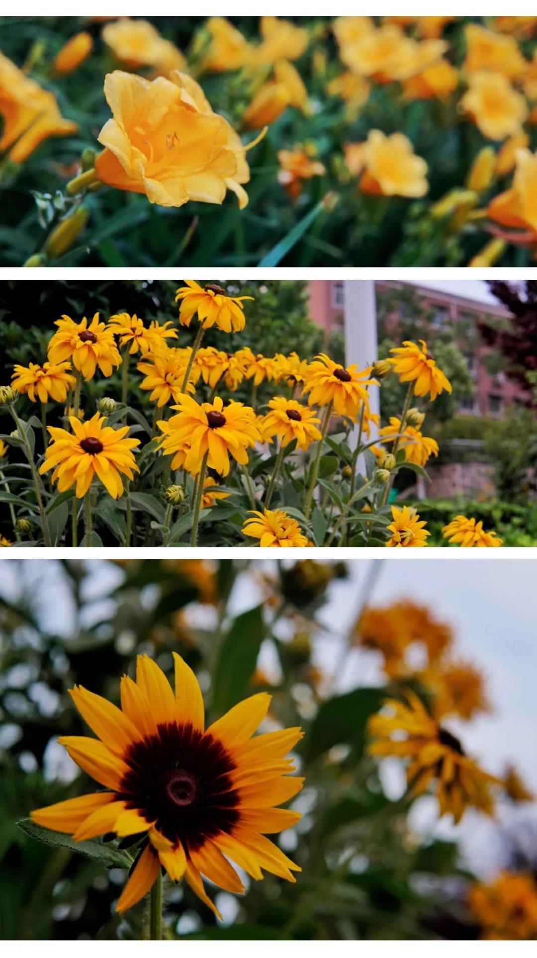 1591080930638051949.jpg 13.jpg