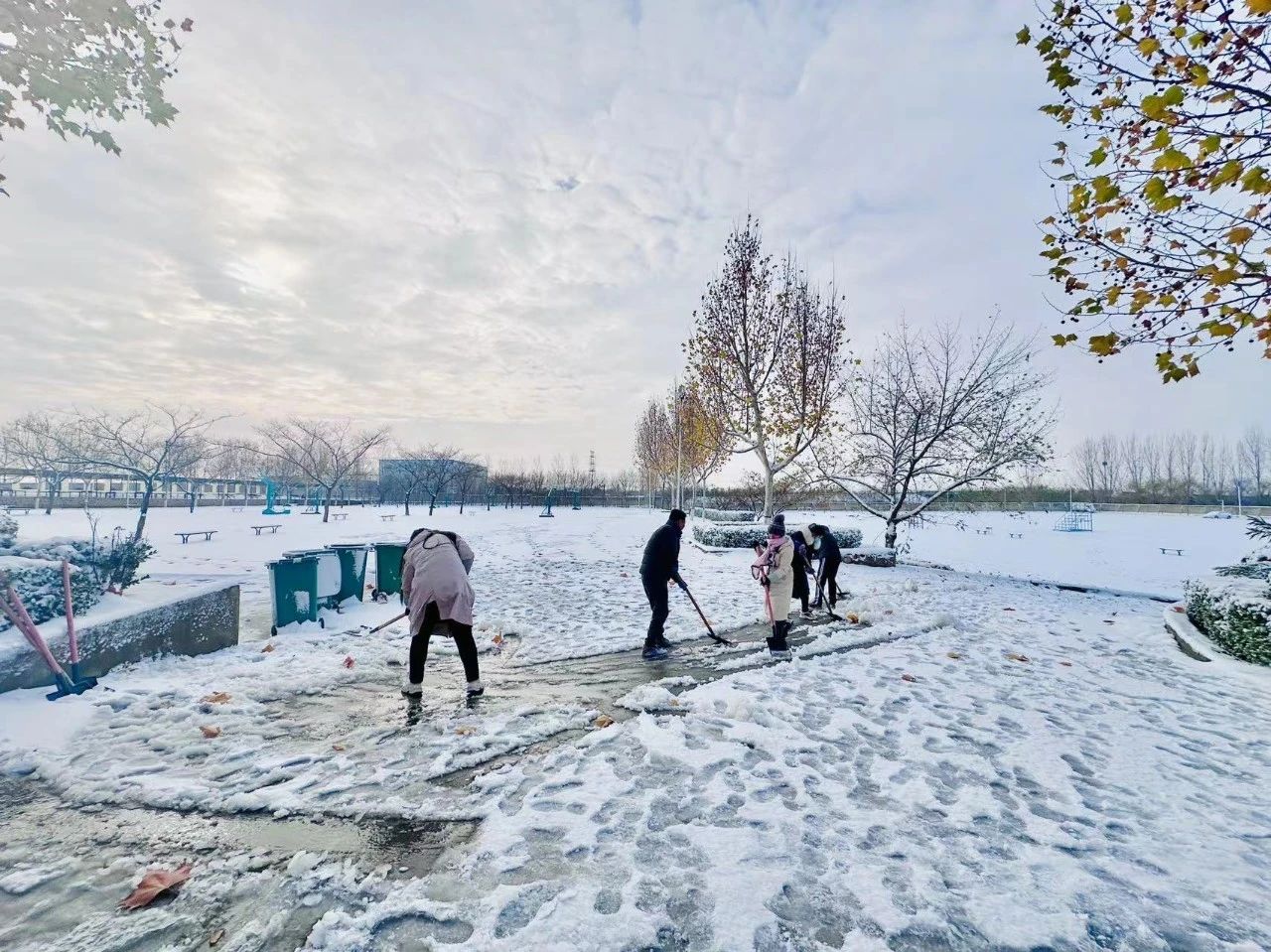 1702363127083086453.jpg 1.jpg