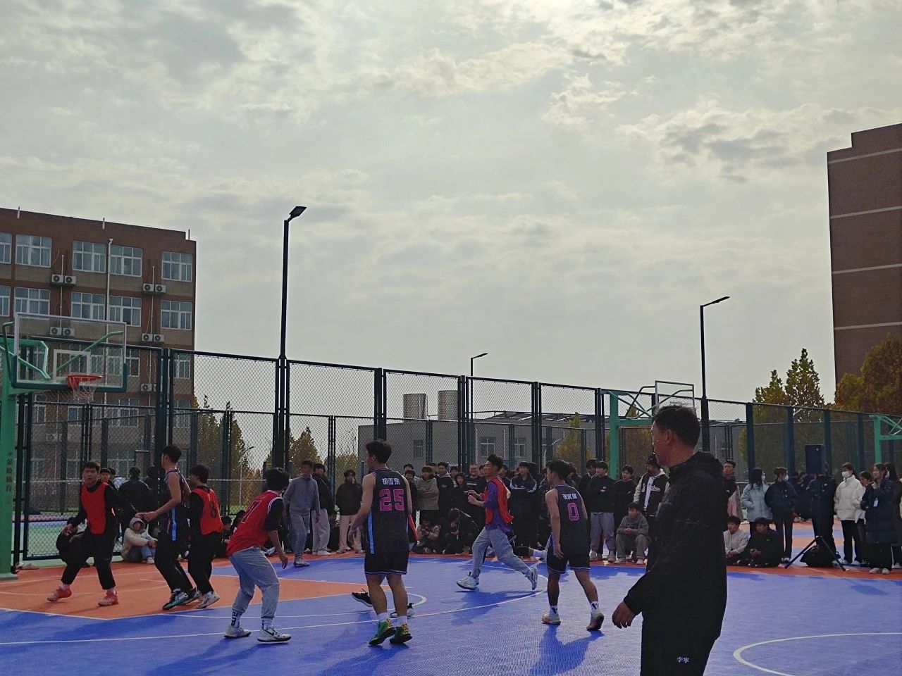 1703036010200039146.jpg 6.jpg