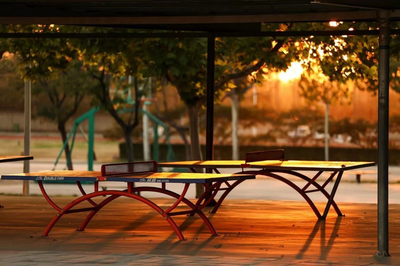 1705197624253027203.jpg 6.jpg